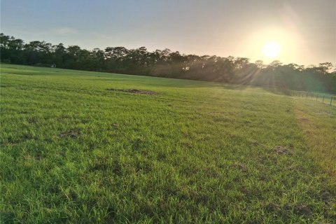 Land in Sumter, Florida № 2165941 - photo 19