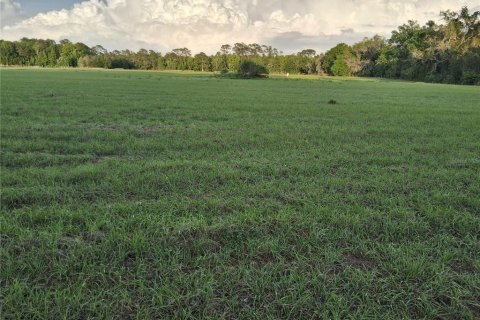 Land in Sumter, Florida № 2165941