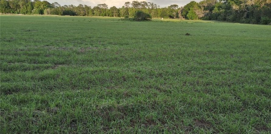 Land in Sumter, Florida № 2165941