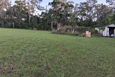 Land in Sumter, Florida № 2165941 - photo 14