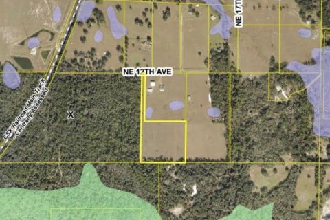Land in Sumter, Florida № 2165941 - photo 4