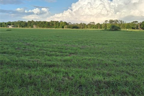 Land in Sumter, Florida № 2165941 - photo 9