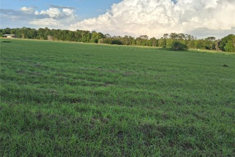 Land in Sumter, Florida № 2165941 - photo 8