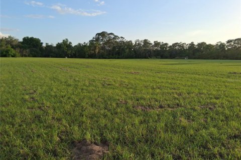 Land in Sumter, Florida № 2165941 - photo 16