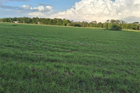 Land in Sumter, Florida № 2165941 - photo 7