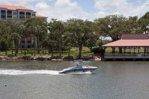 Land in Palm Coast, Florida № 1249911 - photo 4