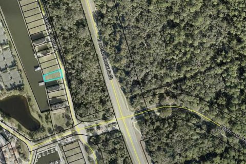Land in Palm Coast, Florida № 1249911 - photo 2
