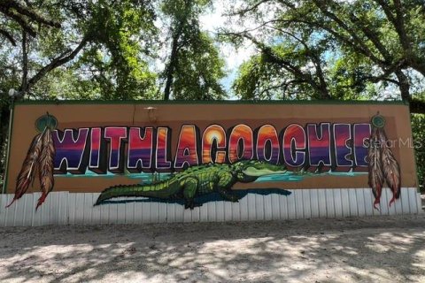 Immobilier commercial à Dade City, Floride 250.84 m2 № 2291693