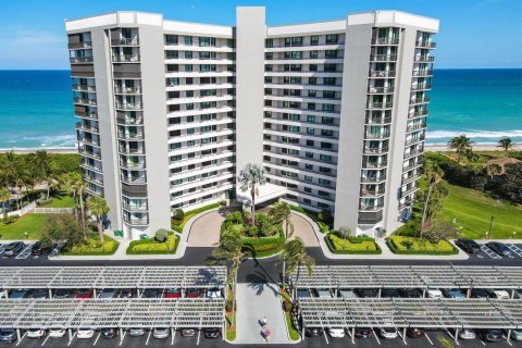 Condo à Jensen Beach, Floride, 1 chambre № 2295463