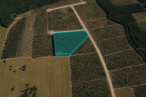 Land in Bristol, Florida № 2147401