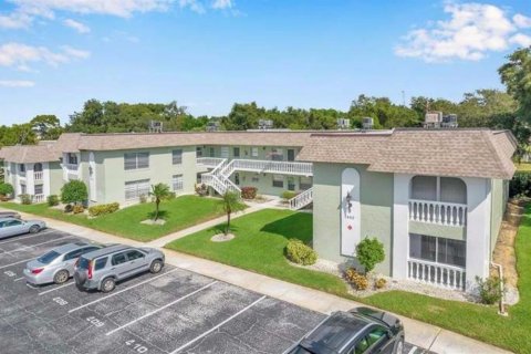 Condominio en alquiler en Tarpon Springs, Florida, 2 dormitorios, 80.92 m2 № 1899766 - foto 1