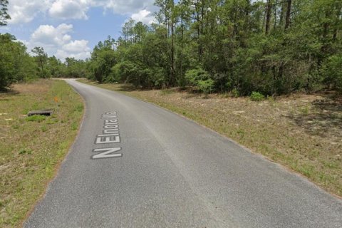 Land in Dunnellon, Florida № 2159297 - photo 4