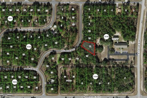 Land in Dunnellon, Florida № 2159297