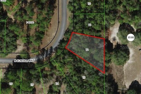 Land in Dunnellon, Florida № 2159297 - photo 2