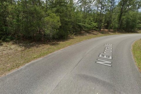 Land in Dunnellon, Florida № 2159297 - photo 3
