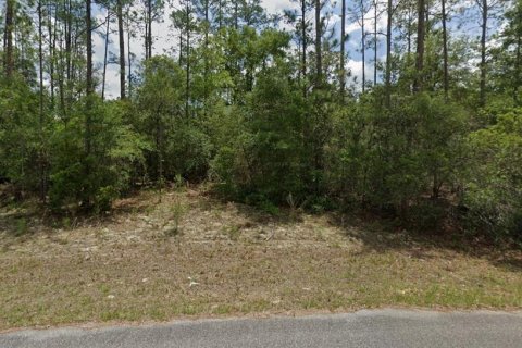 Land in Dunnellon, Florida № 2159297 - photo 5