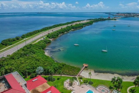 Villa ou maison à louer à Saint Petersburg, Floride: 2 chambres, 85.01 m2 № 2166385 - photo 28