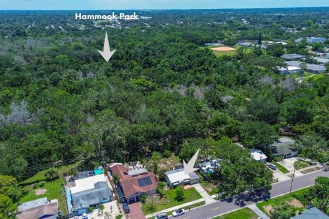 House in Dunedin, Florida 2 bedrooms, 93 sq.m. № 1833106 - photo 2