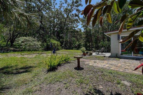 House in Dunedin, Florida 2 bedrooms, 93 sq.m. № 1833106 - photo 25