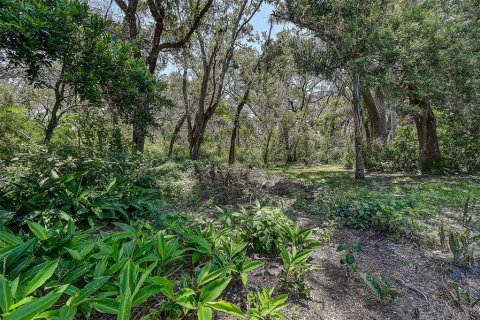 House in Dunedin, Florida 2 bedrooms, 93 sq.m. № 1833106 - photo 28