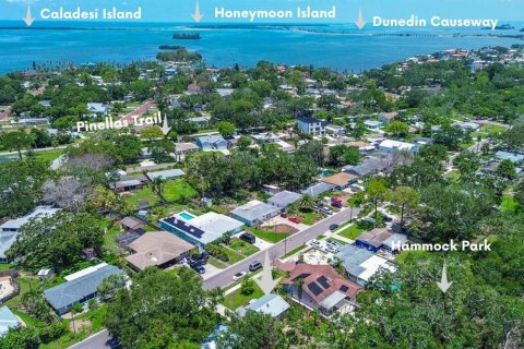 House in Dunedin, Florida 2 bedrooms, 93 sq.m. № 1833106 - photo 30