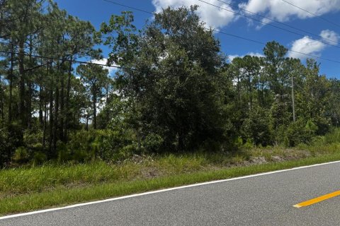 Land in Frostproof, Florida № 2360899