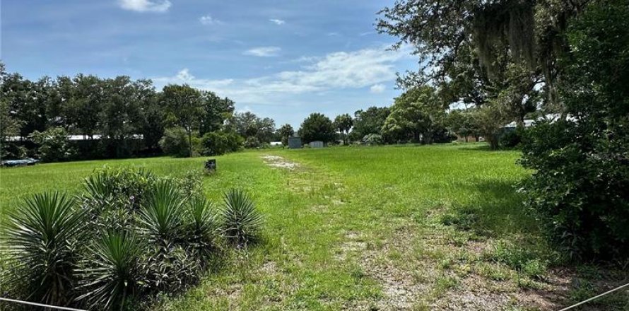 Terrain à Clearwater, Floride № 2321559