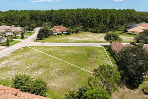 Terreno en venta en Palm Coast, Florida № 2308758 - foto 8