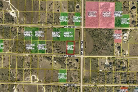 Land in Okeechobee, Florida № 2159577 - photo 2