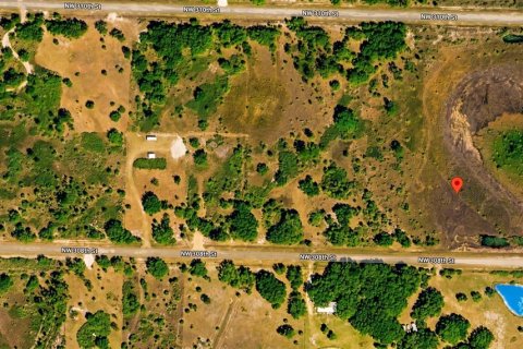 Land in Okeechobee, Florida № 2159577 - photo 3