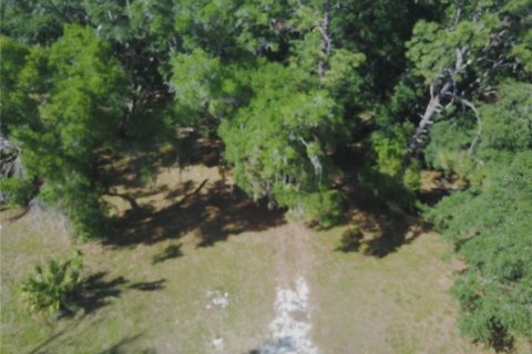 Terreno en venta en Orlando, Florida № 2123355 - foto 2