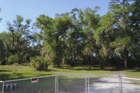 Terreno en Orlando, Florida № 2123355