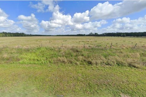 Land in Polk City, Florida № 2163761 - photo 2