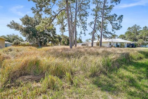 Land in North Port, Florida № 2165746 - photo 4