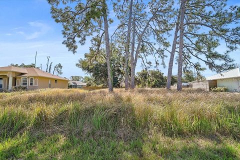 Land in North Port, Florida № 2165746 - photo 6