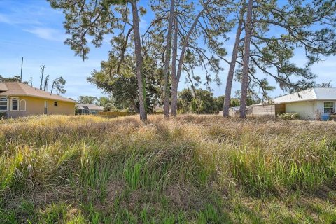 Land in North Port, Florida № 2165746