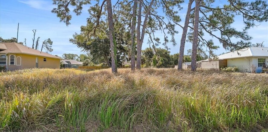Land in North Port, Florida № 2165746