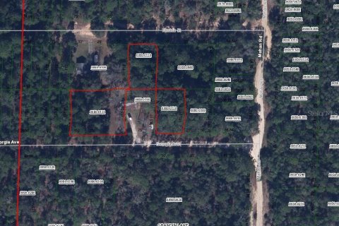 Land in Interlachen, Florida № 2162719 - photo 2