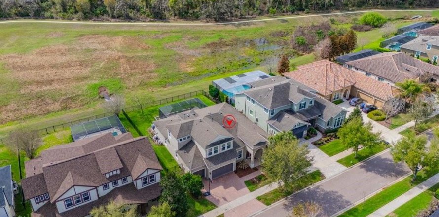 Villa ou maison à Fish Hawk, Floride 5 chambres, 348.2 m2 № 2203758