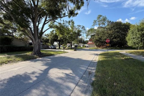 Villa ou maison à vendre à Tampa, Floride: 4 chambres, 234.11 m2 № 2230715 - photo 13