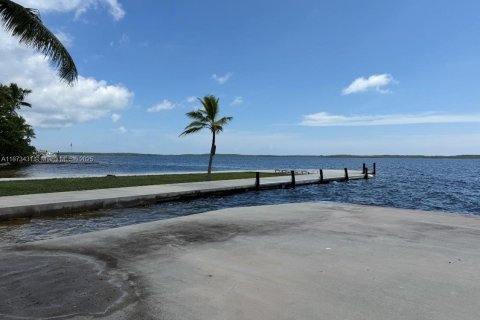 Villa ou maison à vendre à Key Largo, Floride: 3 chambres, 104.05 m2 № 1927761 - photo 2