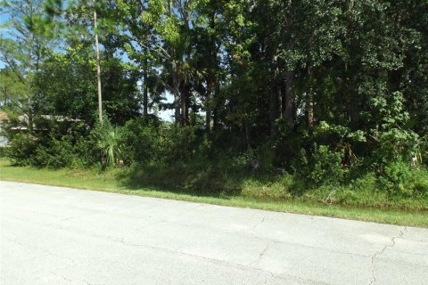 Terreno en venta en Palm Coast, Florida № 1902902 - foto 2