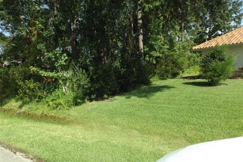 Terreno en venta en Palm Coast, Florida № 1902902 - foto 1