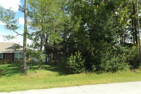 Terreno en venta en Palm Coast, Florida № 1902902 - foto 3