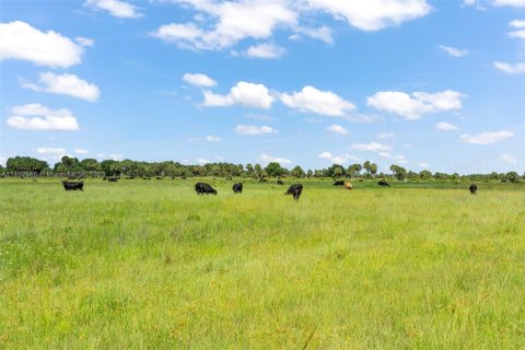 Commercial property in Okeechobee, Florida № 1694624 - photo 11