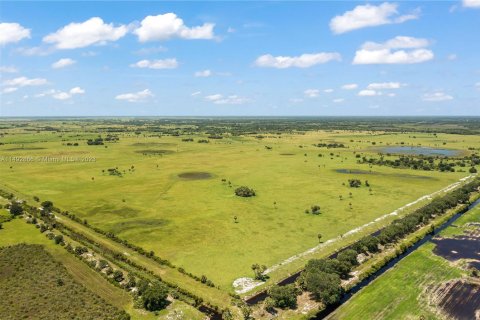 Commercial property in Okeechobee, Florida № 1694624 - photo 7