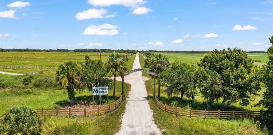 Commercial property in Okeechobee, Florida № 1694624
