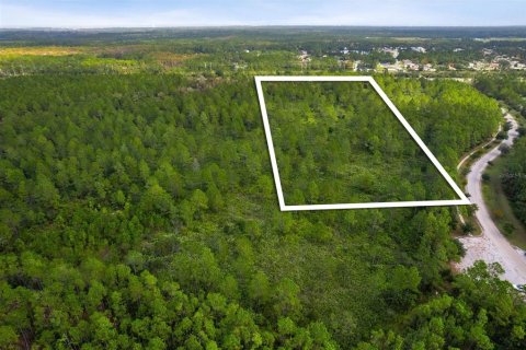 Land in Palm Coast, Florida № 1443030 - photo 8