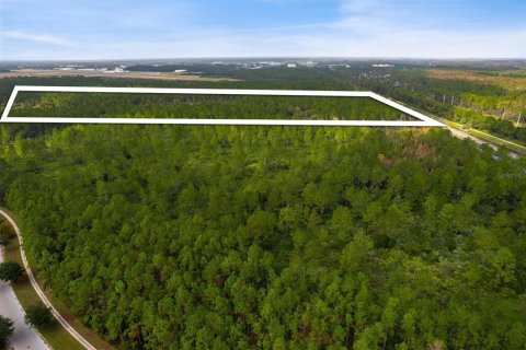 Land in Palm Coast, Florida № 1443030 - photo 9