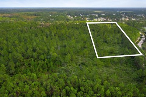 Land in Palm Coast, Florida № 1443030 - photo 16
